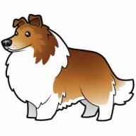 Rough Collie lover 1