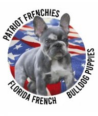Patriot Frenchies