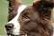 Tegs_mum