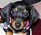 roxy_girl