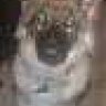 gsdgirl:-)