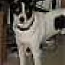 Oakley's Mum