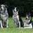 kate_7590